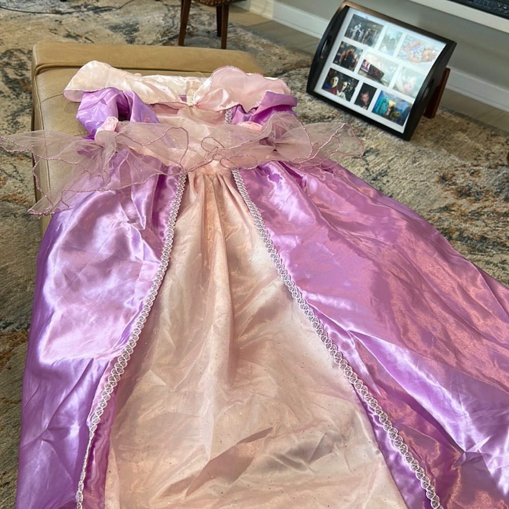 Disney’s Rapunzel size 10 costume from tangled she pretty roses on sleeves